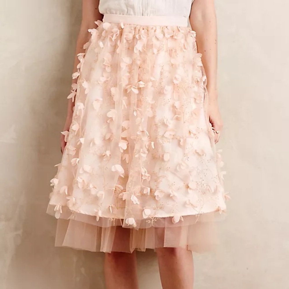 Eva Franco Blush Pink Petal-Appliqué 3D Midi Skirt - Picture 1 of 7